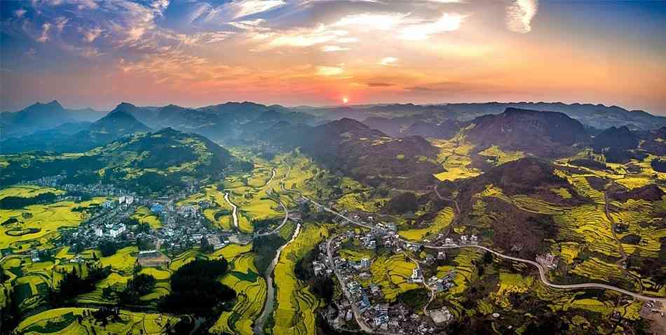 全国最早盛开的油菜花田-罗平金鸡峰