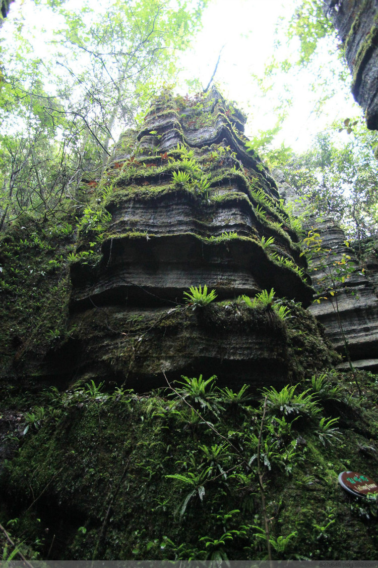犀牛沟景区