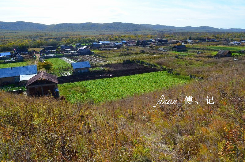 太平村庄