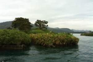 北京出发国航直飞台湾环岛8日旅游(神秘农场之旅)