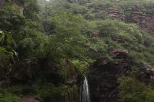 原山森林公园一日游可订票 可成团 淄博旅游