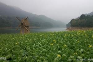 看花景点 4月广州看花 四月员工团体外出旅游赏花两天推荐