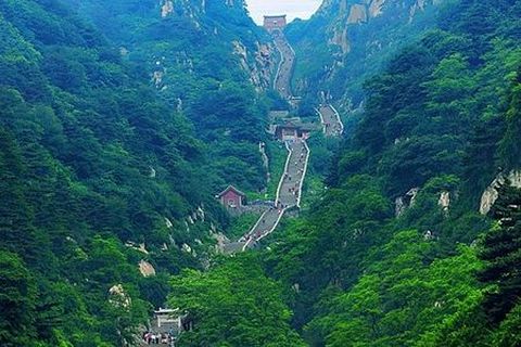 <泰山1日游>2014隆重推出，含中餐（当地游）