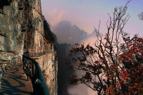 <张家界-天门山-凤凰古城4日游>品仙境传说看诗画之源（当地游）